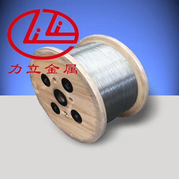 Hot Dipped Galvanized Spring Steel Wire From 0.15~3.6mm