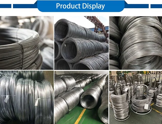 Stainless Steel Spring Wire Special Shaped Stainless Steel Profile Wire