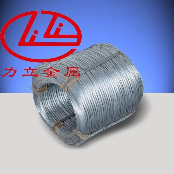 Hot Dipped Galvanized Spring Steel Wire From 0.15~3.6mm