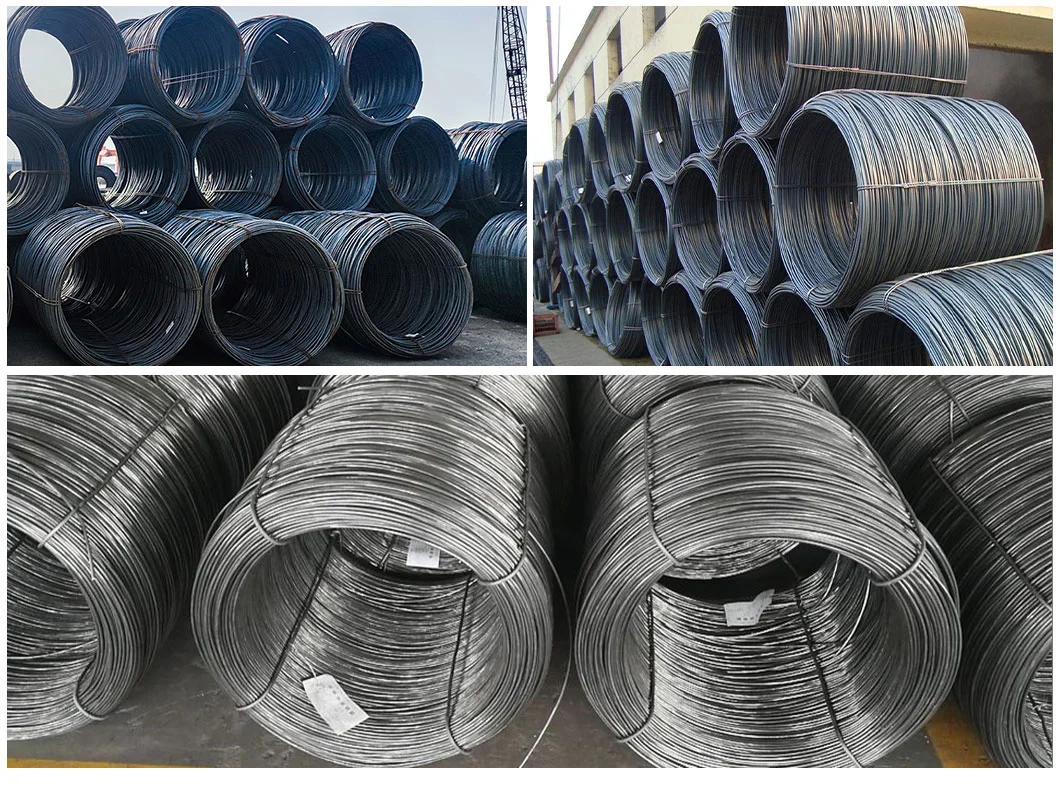 Cold Rolled Hot Rolled Steel Wire Rod in Coils 5.5mm 6.5mm Q195 SAE1006 SAE1008 Low Carbon Steel Ms Wire Rod ASTM GB JIS DIN AISI BS Factory Price Fast Delivery